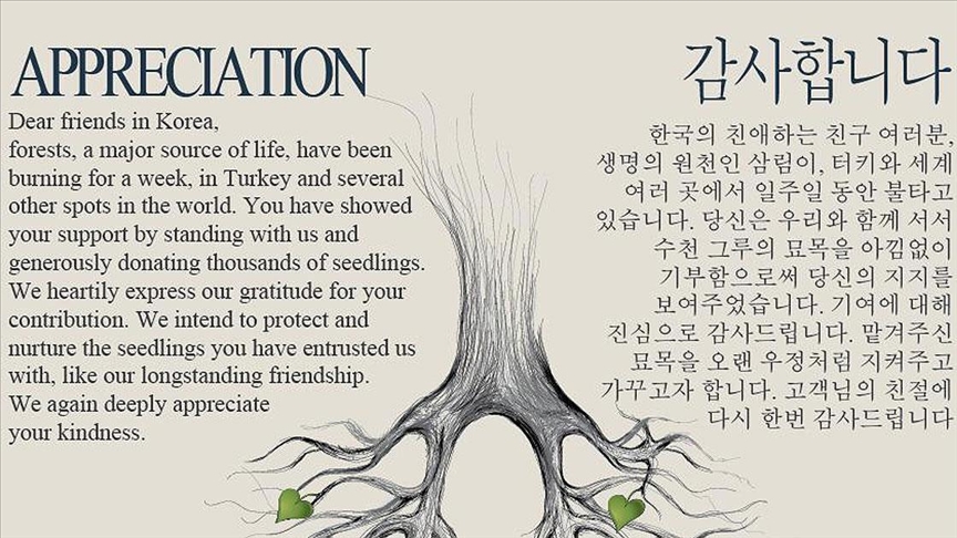 ÇEKUD'un fidan bağışı kampanyasına Güney Kore'den destek 