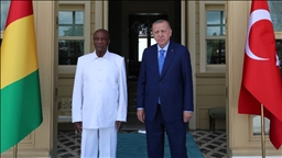 Президенты Турции и Гвинеи провели переговоры в Стамбуле