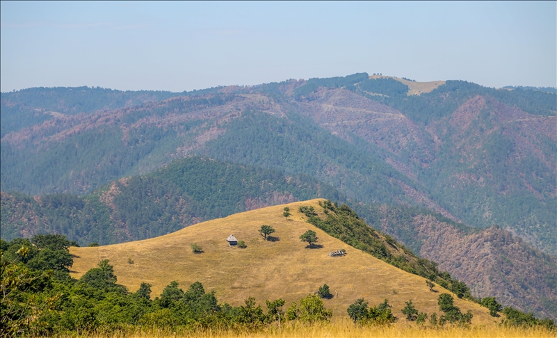 Srbija: Planina Zlatibor plijeni ljepotom