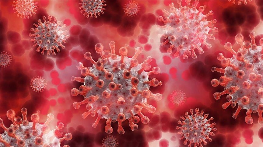 Mexico's virus-related deaths exceed 250,000