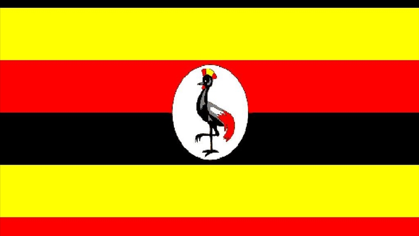 Uganda suspends 54 NGOs for failing to follow regulations