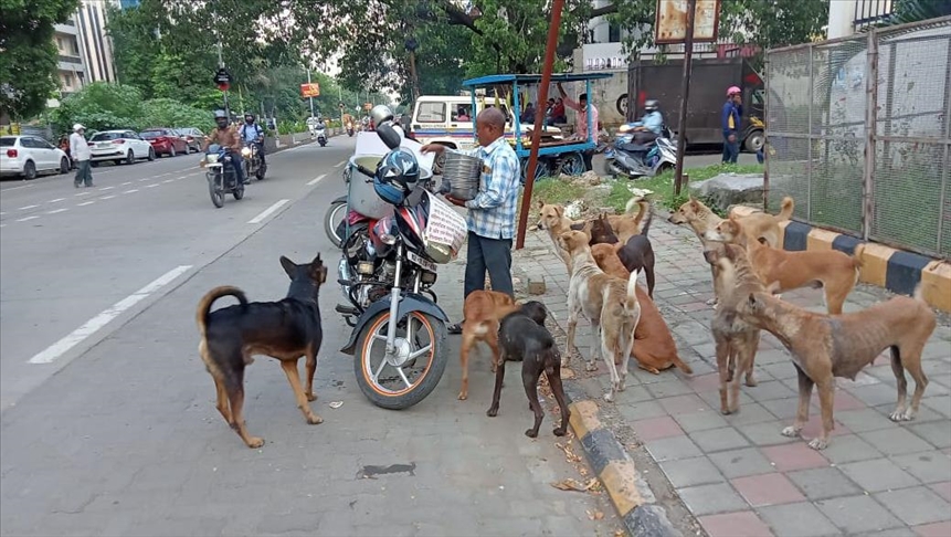 Indian astrologer serves delicious dishes to 250 stray dogs every day