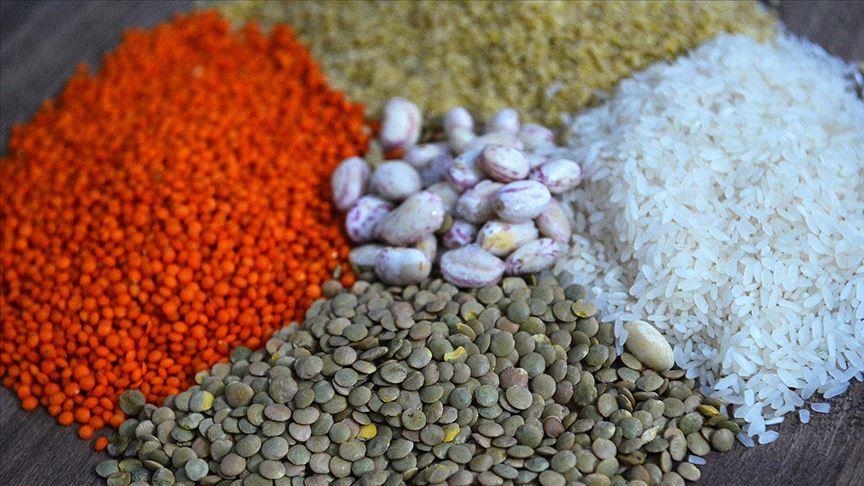 Годовой экспорт зернобобовых и масличных культур из Турции превысил $8 млрд