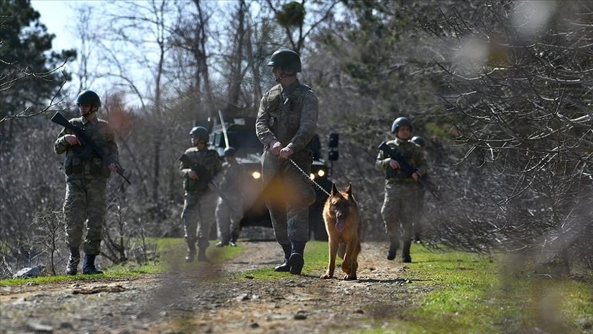  14 PKK, FETO terror suspects nabbed on Turkish-Greek border