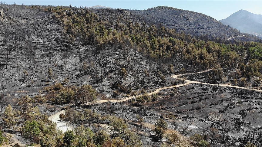 Antalyadaki yangın ile Kastamonu ve Sinoptaki sel bölgesi için acele kamulaştırma kararı