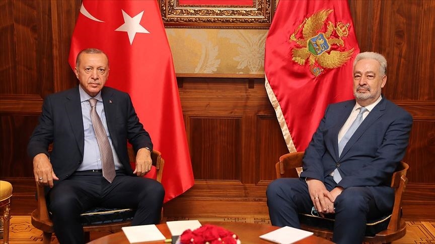 دیدار اردوغان با نخست‌وزیر مونته‌نگرو