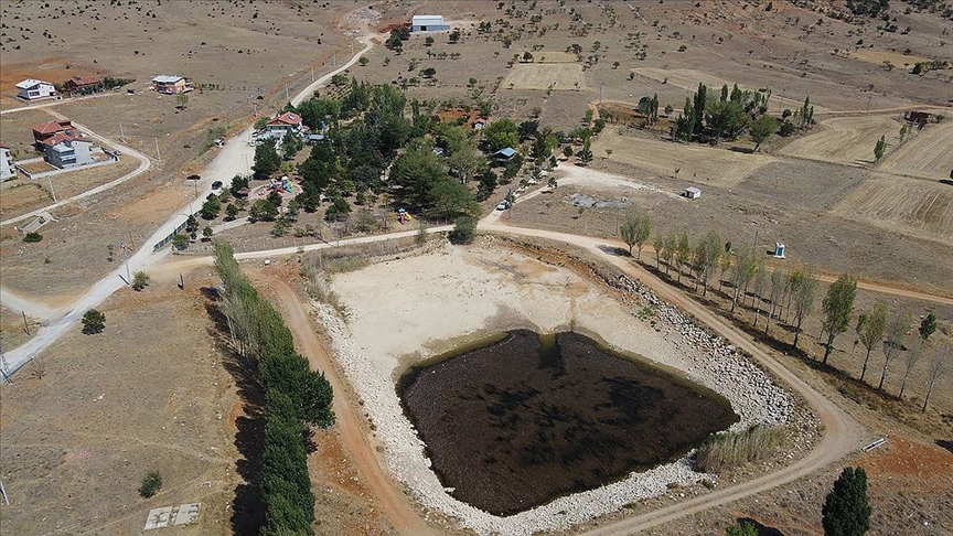Konya'daki Balıklıpınar kuraklık nedeniyle kurumaya yüz tutunca 'efsanevi' balıkları da tehlikeye girdi