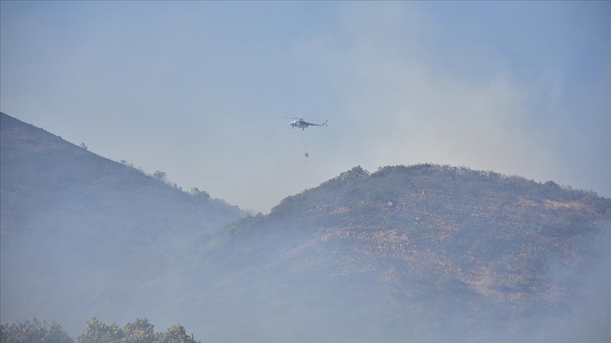 Bingöl'deki orman yangınına havadan ve karadan müdahale sürüyor