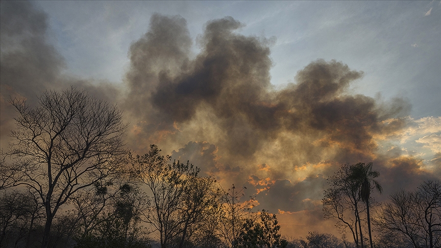 Brezilya Amazonlarında yangınlar ağustosta beş kattan fazla arttı