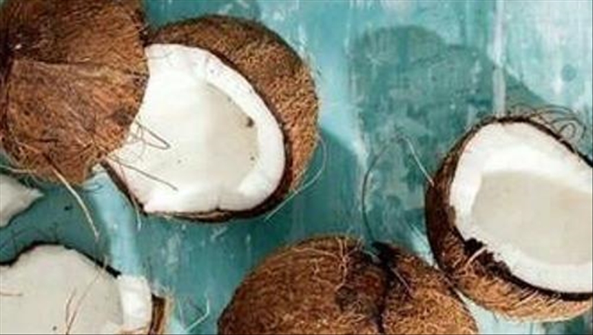 Coconuts bear brunt of human desires in Tanzania
