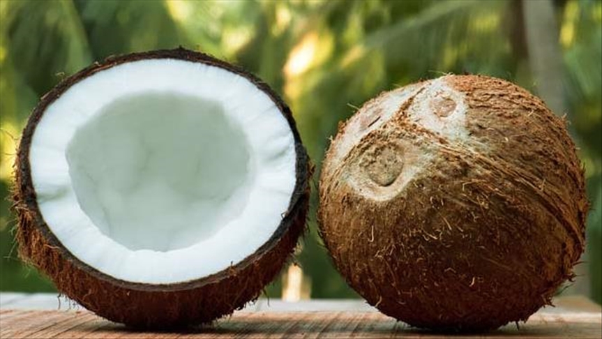 Young Indian girl uses coconuts to promote sustainable ways of living