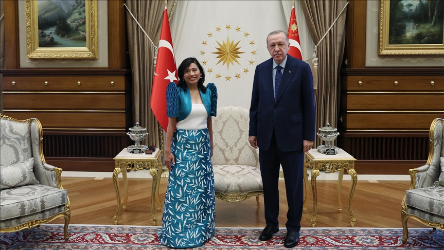 Turkish president receives credentials of 3 new envoys