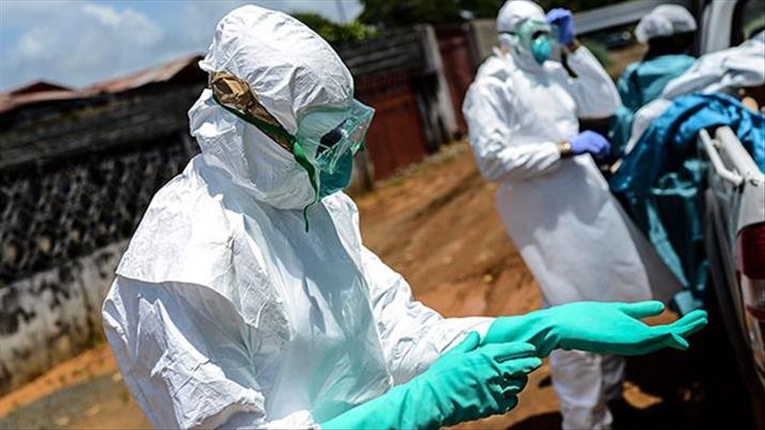 Meningsløs Alaska tilskadekomne No evidence of Ebola virus in Ivory Coast: WHO