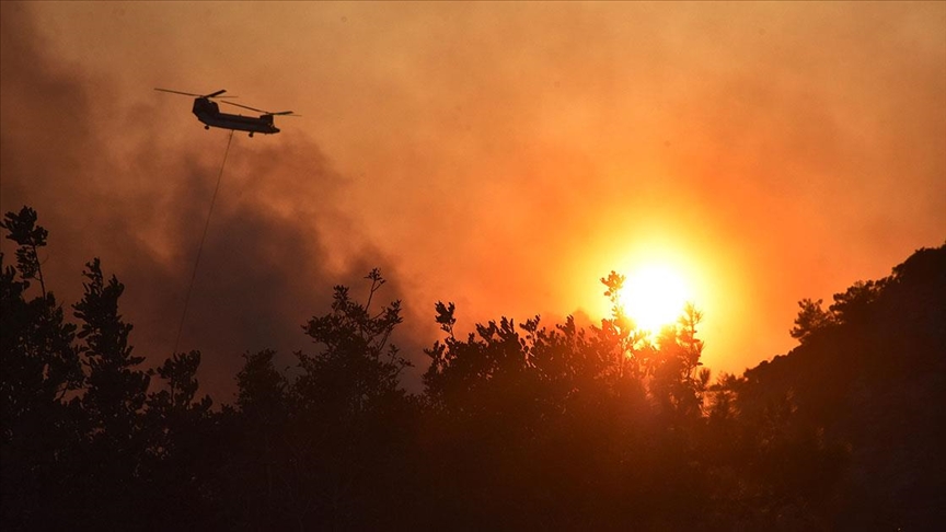 Muğla ve ilçelerindeki orman yangınlarıyla ilgili 15in üzerinde soruşturma dosyası açıldı