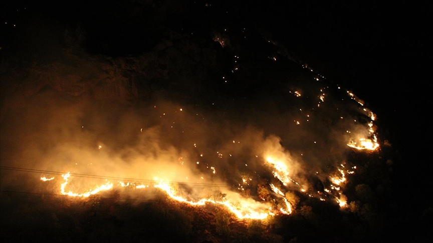 Şemdinli’de çıkan orman yangınına müdahale ediliyor
