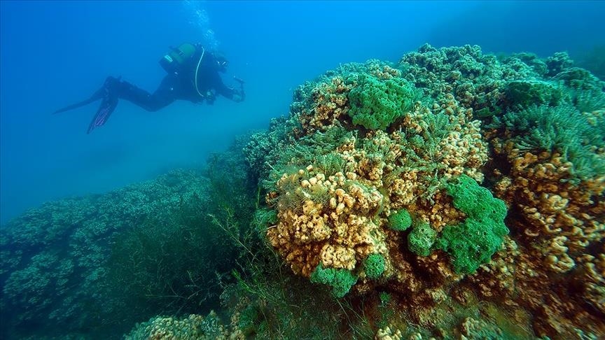 Scientists study underwater treasures of Turkey's Lake Salda 