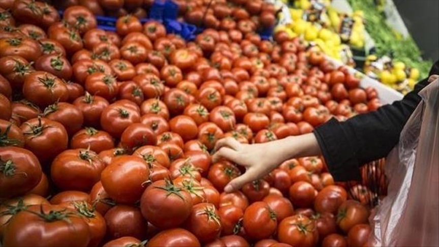 Global food prices rebound in Aug. after 2-month decline