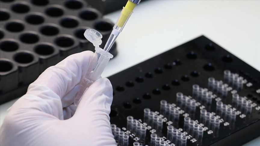 Kovid-19 aşısı olmayan işçilerden haftada bir kez PCR testi yaptırmaları istenebilecek