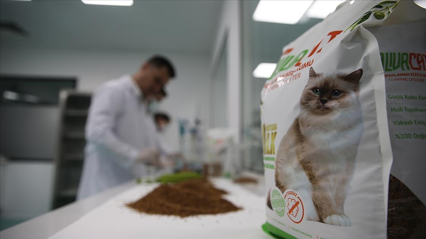 Zeytin çekirdeğinden kedi kumu üretildi