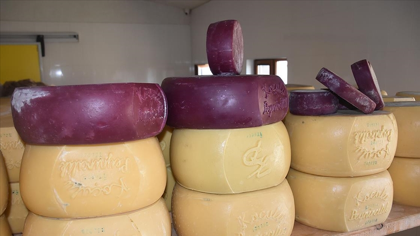 Karsta sebze ve meyvelerden mor renkte gravyer ile kaşar peyniri üretiliyor