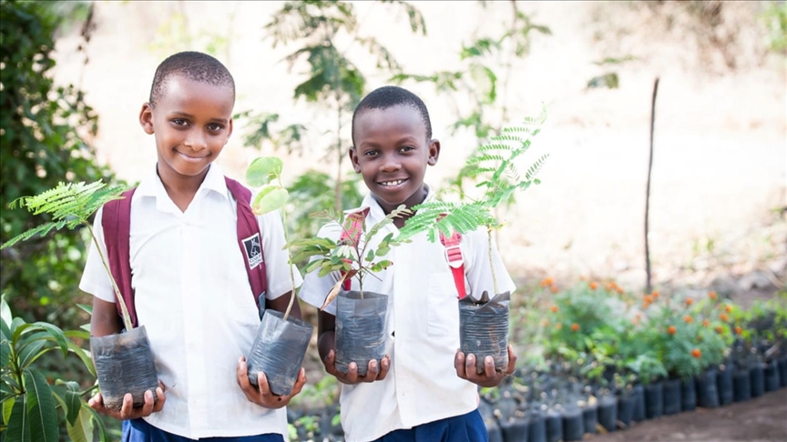 Tanzanian charity to plant 50M trees in massive greening campaign on Mount Kilimanjaro
