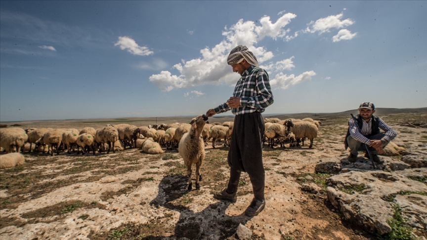 Doğu Anadoluda sıcaklıklar mevsim normallerinde seyredecek