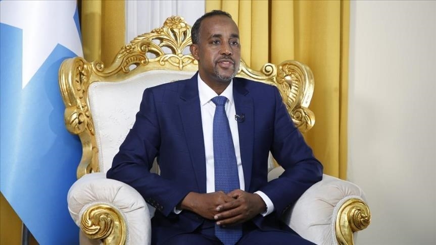 Somali premier sacks spy agency chief