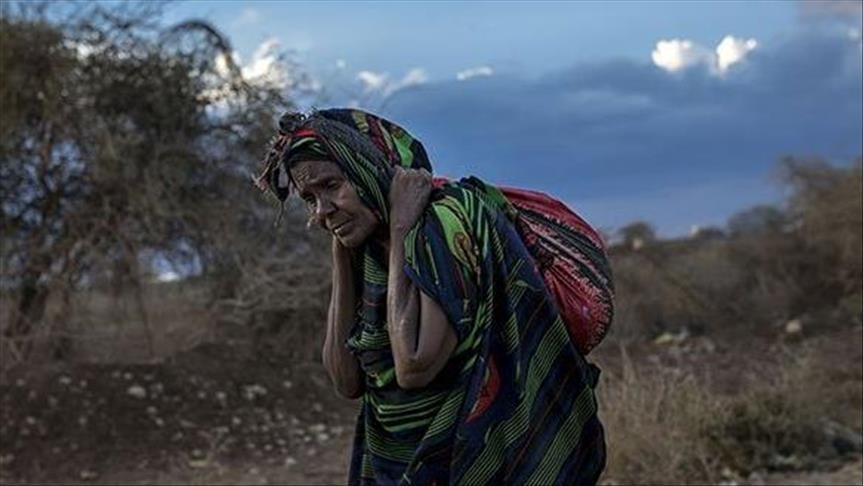 بمحو الأمية.. نساء "الماساي" تكافحن الفقر في كينيا 