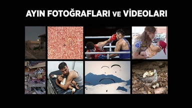 Ayın fotoğrafları ve videoları belli oldu