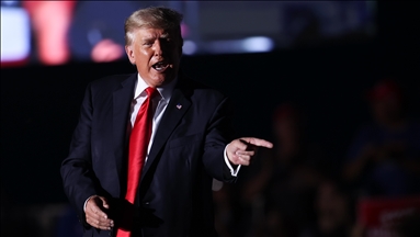 Trump says he'd knock out Biden in boxing match: 'he'd go down quickly'