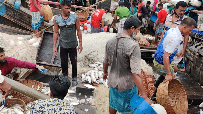 Lack of India, Bangladesh coordination leaves hilsa fish in lurch