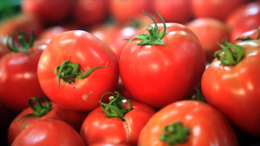 Türkiyenin 8 aylık yaş meyve sebze ihracatının şampiyonu kiraz ve domates oldu