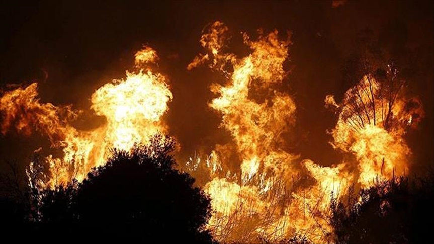 Turkey voices solidarity as Spain battles wildfires