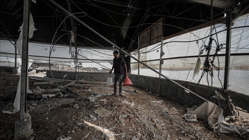 Un raid israélien détruit des fermes avicoles à Gaza