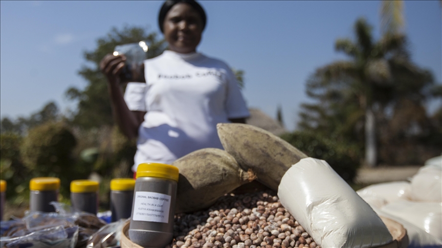 Zimbabwe’s indigenous baobab coffee makers strike gold