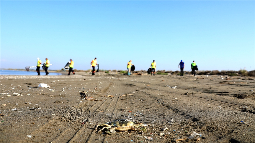 Hatay ve Mersin sahillerinde Suriye kaynaklı petrol sızıntısının temizlik çalışmaları sürüyor