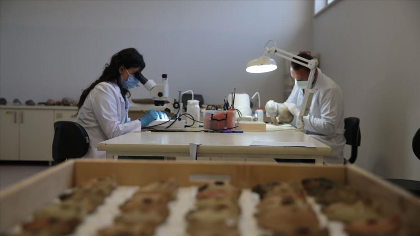 بعناية وصبر.. تنظيف القطع الأثرية في "كوبكلي تبه" جنوبي تركيا (تقرير)