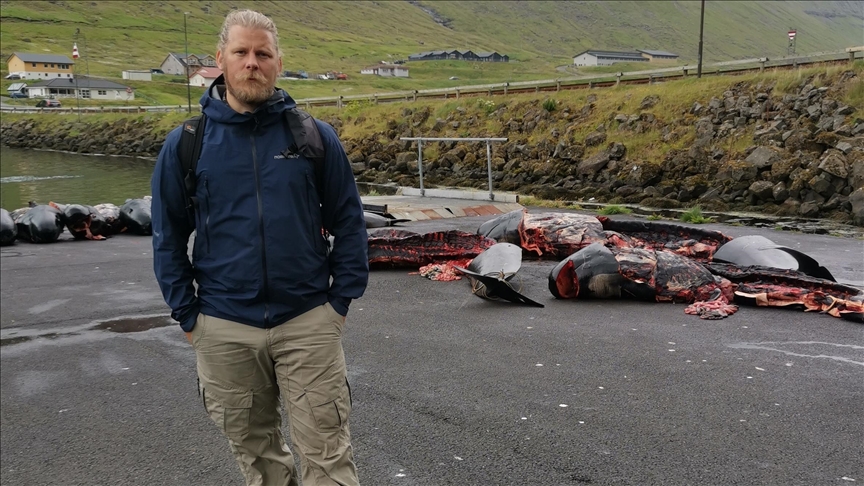 Activist speaks out on traditional dolphin slaughter off Denmark’s Faroe Islands