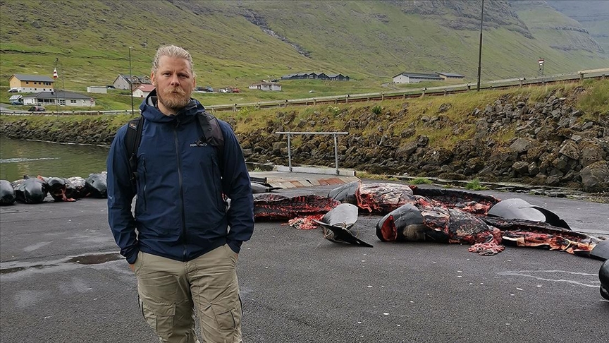 Hayvan hakları savunucusu, Faroe Adaları'ndaki tepki çeken yunus ve balina katliamını AA'ya anlattı