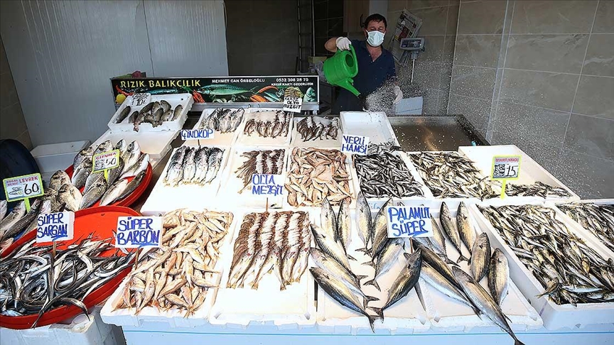 Trabzonlu balıkçılar fiyatların düşmesi için deniz suyunun soğumasını bekliyor