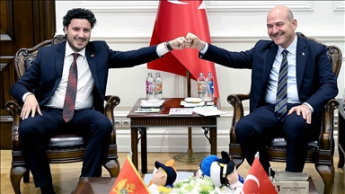 İçişleri Bakanı Soylu, Karadağ Başbakan Yardımcısı Abazoviç ile görüştü