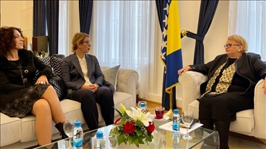 Turković se sastala sa advokaticama Edina Vranja, ambasadorica Smajić pozvana na konsultacije