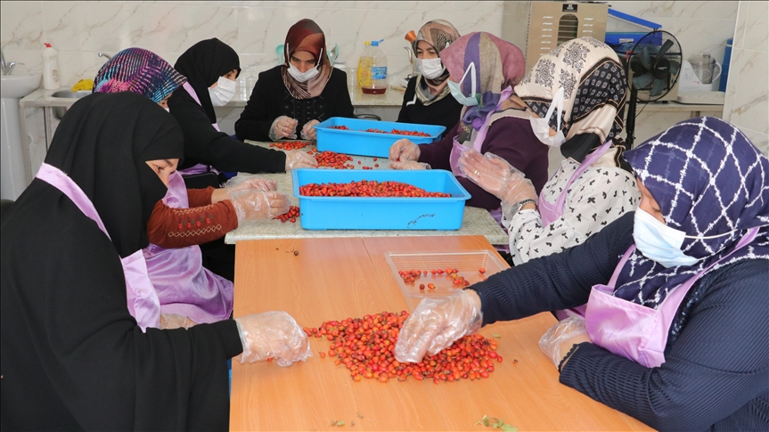 Yozgatlı kadınlar, kurdukları kooperatifle yöresel ürünlere değer katıyor