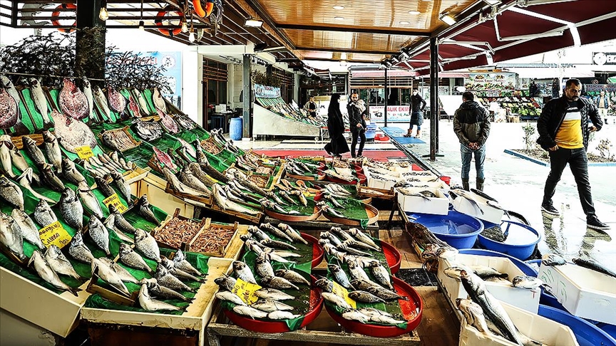 İstanbulda av sezonunun bereketli başlaması balık fiyatlarına da yansıdı