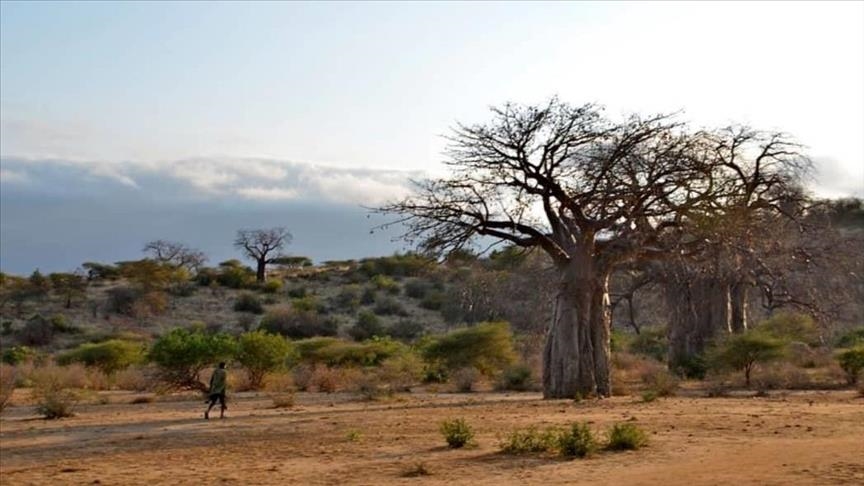 Eswatini's farmers, wildlife struggle amid pollution, shrinking rivers
