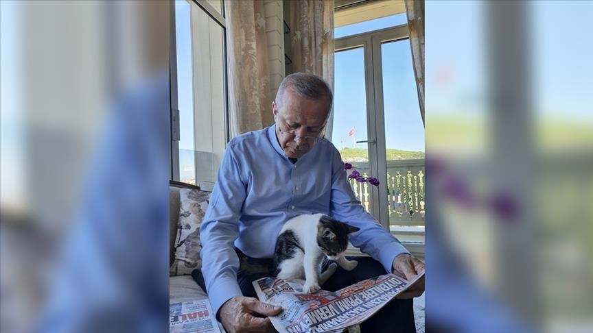 Erdogan na društvenim mrežama podijelio fotografije sa mačkom svoje unuke 