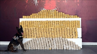 Turkish customs officials seize over 46 kg of drugs