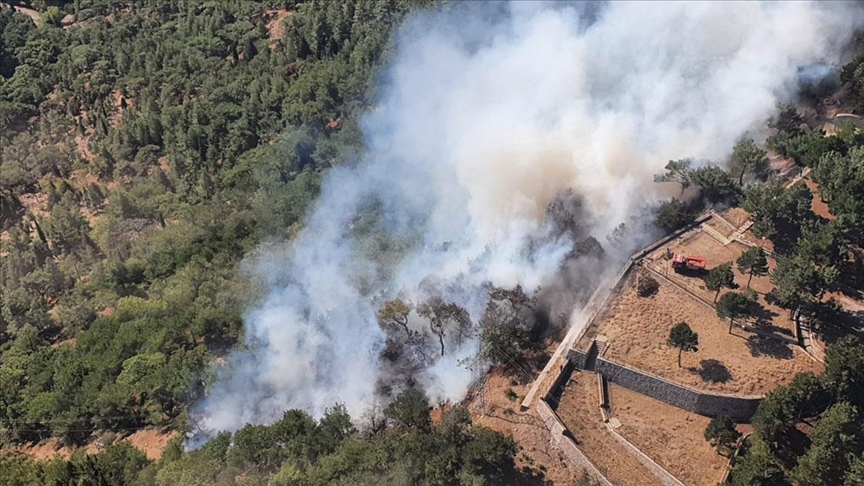 İzmirde ormanlık alanda yangın çıktı