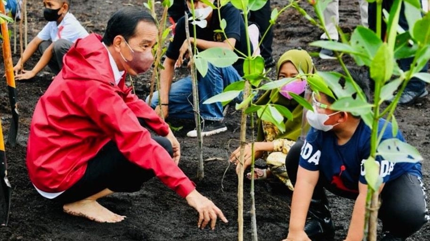 Indonesia akan terus lakukan rehabilitasi hutan mangrove