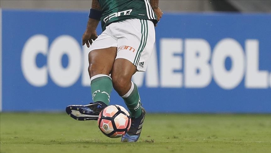 Defending champions Palmeiras move to Copa Libertadores final